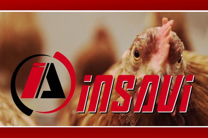 Insavi Insavi